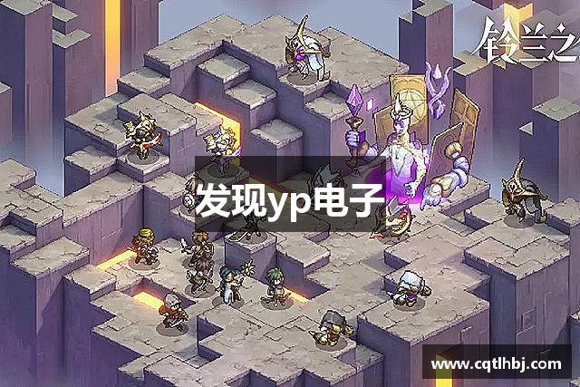 发现yp电子
